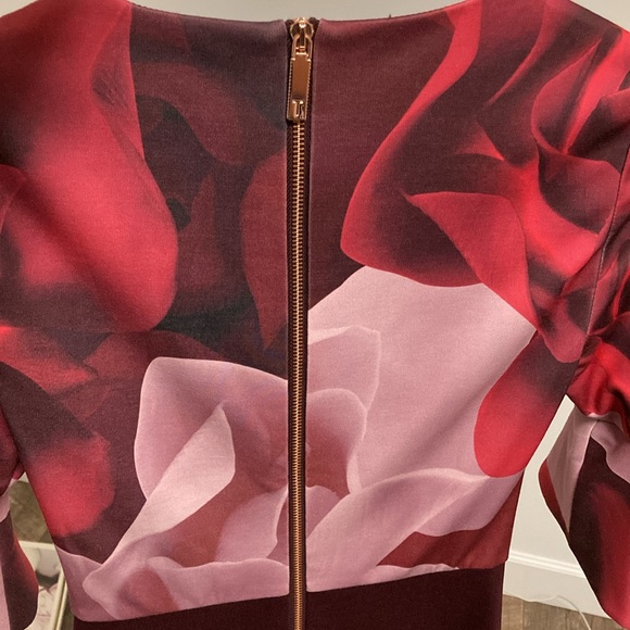 Ted Baker dress size 0 - Picture 4 of 9